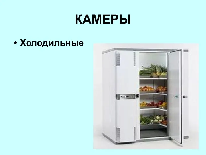 КАМЕРЫ Холодильные