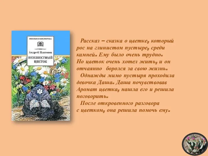 Рассказ – сказка о цветке, который рос на глинистом пустыре, среди камней. Ему