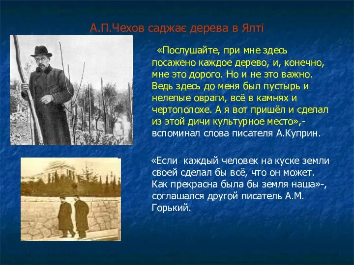 А.П.Чехов саджає дерева в Ялті «Послушайте, при мне здесь посажено каждое дерево, и,