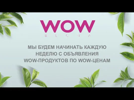 МЫ БУДЕМ НАЧИНАТЬ КАЖДУЮ НЕДЕЛЮ С ОБЪЯВЛЕНИЯ WOW-ПРОДУКТОВ ПО WOW-ЦЕНАМ