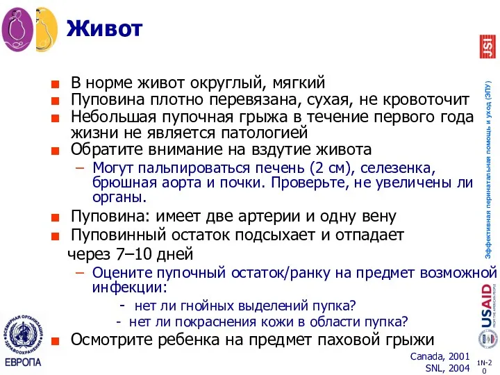 Живот В норме живот округлый, мягкий Пуповина плотно перевязана, сухая,