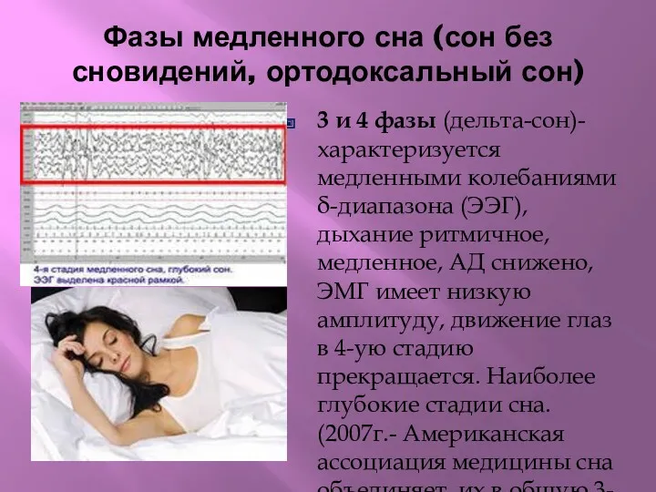 Фазы медленного сна (сон без сновидений, ортодоксальный сон) 3 и 4 фазы (дельта-сон)-