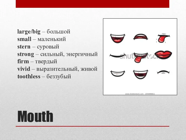 Mouth large/big – большой small – маленький stern – суровый