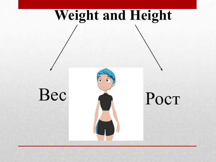 Weight and Height Вес Рост