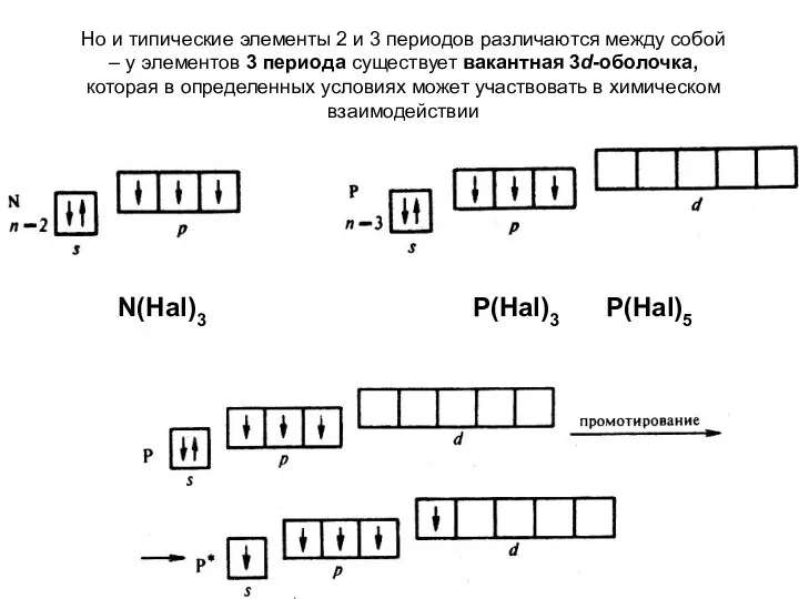 Но и типические элементы 2 и 3 периодов различаются между