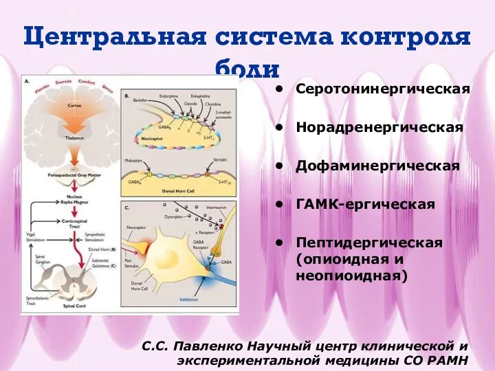 Центральная система контроля боли Серотонинергическая Норадренергическая Дофаминергическая ГАМК-ергическая Пептидергическая (опиоидная