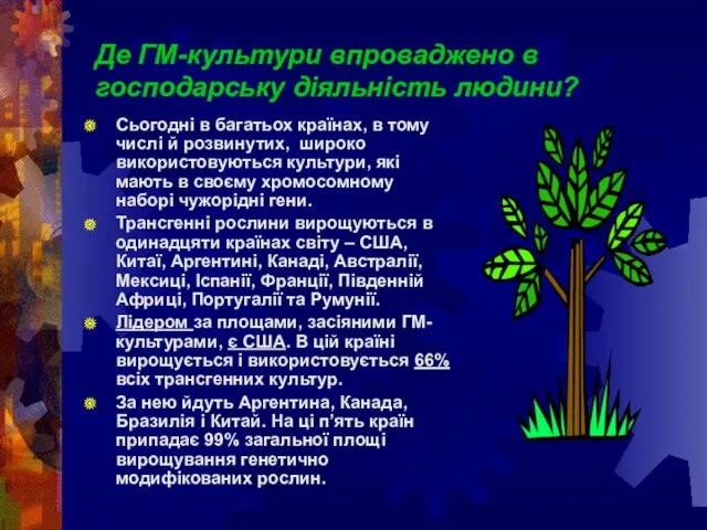 Де ГМ-культури впроваджено в господарську діяльність людини? Сьогодні в багатьох