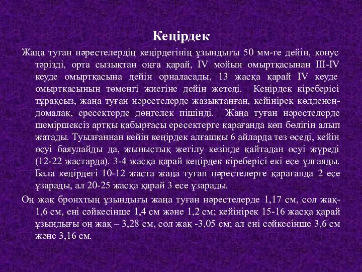 Кеңірдек Жаңа туған нәрестелердің кеңірдегінің ұзындығы 50 мм-ге дейін, конус