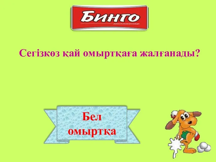 Бел омыртқа Сегізкөз қай омыртқаға жалғанады?