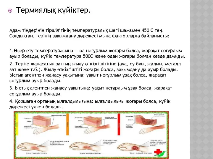 Термиялық күйіктер. Адам тіндерінің тіршілігінің температуралық шегі шамамен 450 С тең. Сондықтан, терінің