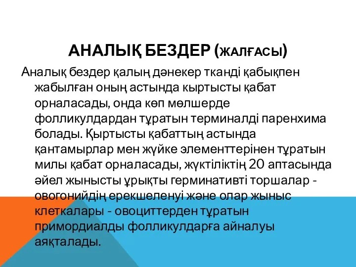 АНАЛЫҚ БЕЗДЕР (ЖАЛҒАСЫ) Аналық бездер қалың дәнекер тканді қабықпен жабылған