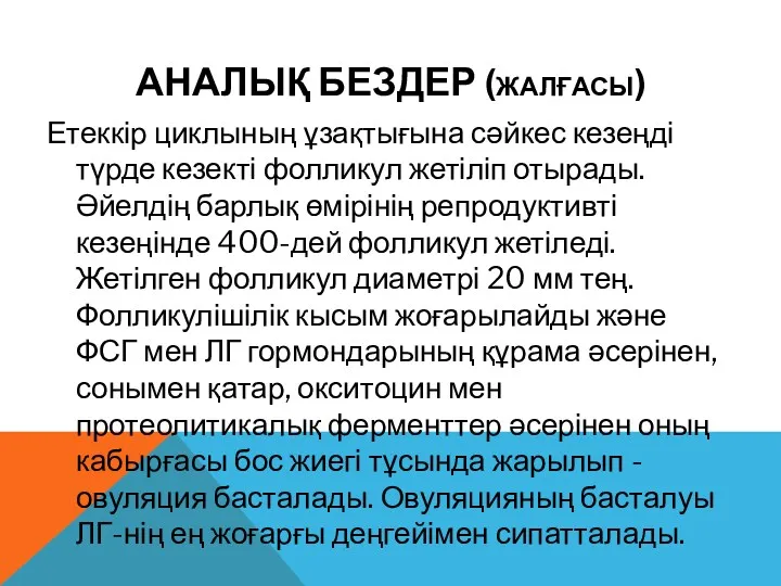 АНАЛЫҚ БЕЗДЕР (ЖАЛҒАСЫ) Етеккір циклының ұзақтығына сәйкес кезеңді түрде кезекті