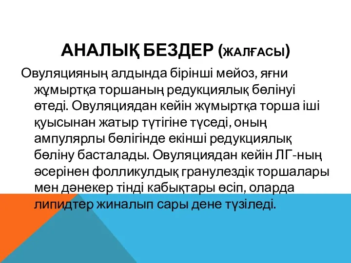 АНАЛЫҚ БЕЗДЕР (ЖАЛҒАСЫ) Овуляцияның алдында бірінші мейоз, яғни жұмыртқа торшаның