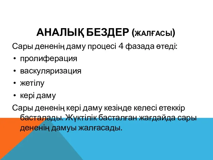 АНАЛЫҚ БЕЗДЕР (ЖАЛҒАСЫ) Сары дененің даму процесі 4 фазада өтеді: