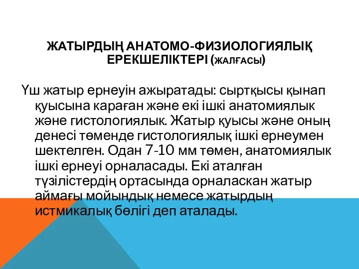 ЖАТЫРДЫҢ АНАТОМО-ФИЗИОЛОГИЯЛЫҚ ЕРЕКШЕЛІКТЕРІ (ЖАЛҒАСЫ) Үш жатыр ернеуін ажыратады: сыртқысы қынап