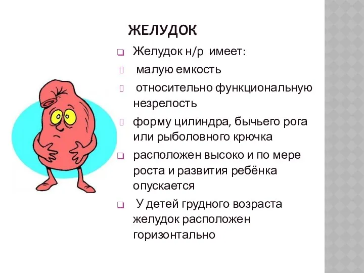 ЖЕЛУДОК Желудок н/р имеет: малую емкость относительно функциональную незрелость форму