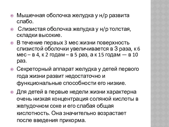 Мышечная оболочка желудка у н/р развита слабо. Слизистая оболочка желудка