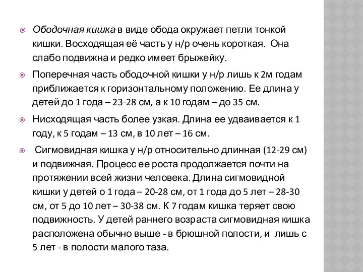 Ободочная кишка в виде обода окружает петли тонкой кишки. Восходящая