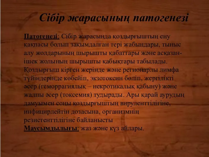 Патогенезі: Сібір жарасында қоздырғыштың ену қақпасы болып зақымдалған тері жабындары,