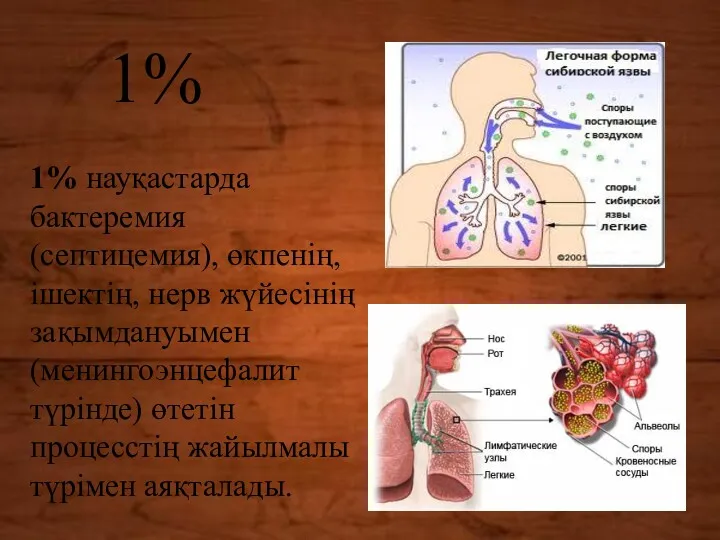 1% науқастарда бактеремия (септицемия), өкпенің, ішектің, нерв жүйесінің зақымдануымен (менингоэнцефалит