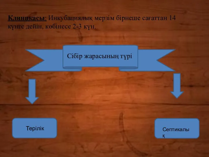 Клиникасы: Инкубациялық мерзім бірнеше сағаттан 14 күнге дейін, көбінесе 2-3 күн. Сібір жарасының түрі Терілік Септикалық