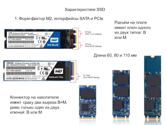 Характеристики SSD 1. Форм-фактор M2, интерфейсы SATA и PCIe Коннектор