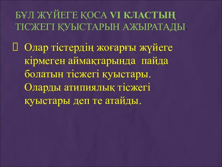 БҰЛ ЖҮЙЕГЕ ҚОСА VІ КЛАСТЫҢ ТІСЖЕГІ ҚУЫСТАРЫН АЖЫРАТАДЫ. Олар тістердің