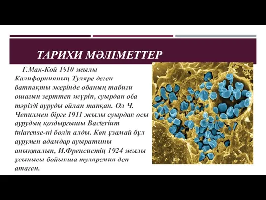 ТАРИXИ МӘЛІМЕТТЕР Г.Мак-Кой 1910 жылы Калифорнияның Туляре деген батпақты жерінде