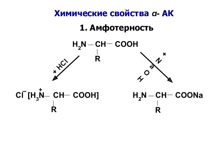 1. Амфотерность H2N CH COOH R + HCl + NaOH