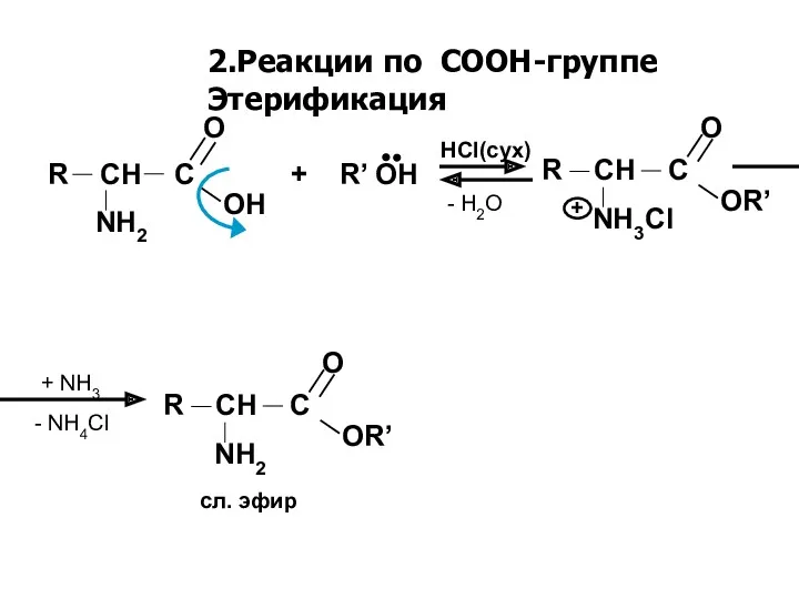 2.Реакции по СООН-группе Этерификация R CH C + R’ OH