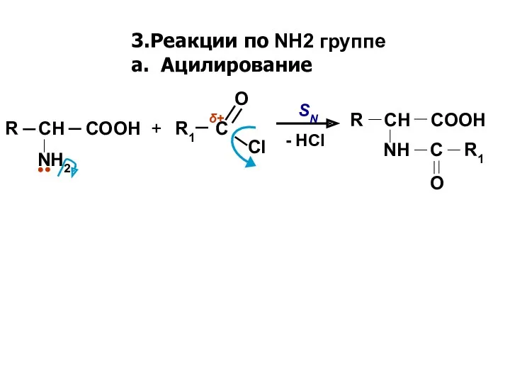 3.Реакции по NH2 группе а. Ацилирование Cl R1 C O