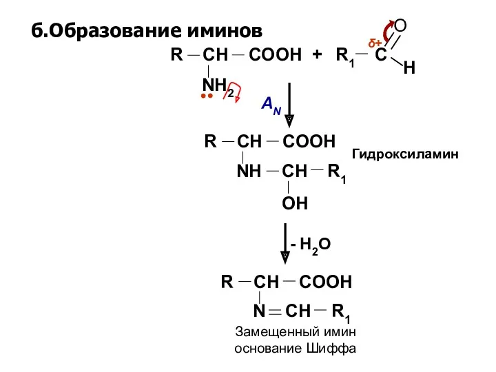 б.Образование иминов H R1 C NH2 R CH COOH +