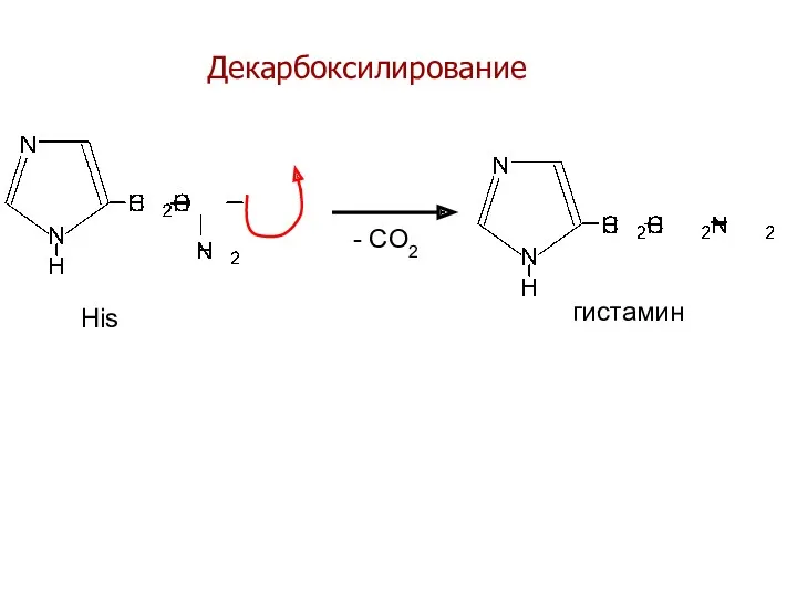 Декарбоксилирование - CO2 His гистамин