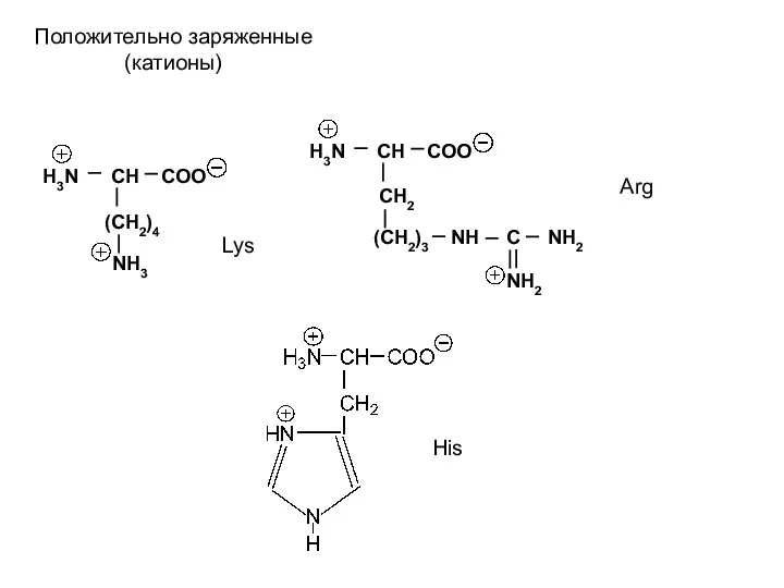 H3N CH COO (CH2)4 NH3 H3N CH COO CH2 (CH2)3