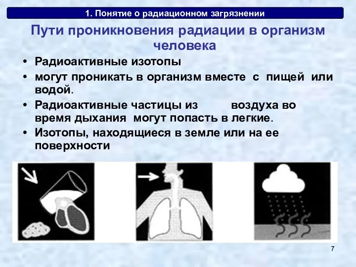 1. Понятие о радиационном загрязнении Пути проникновения радиации в организм