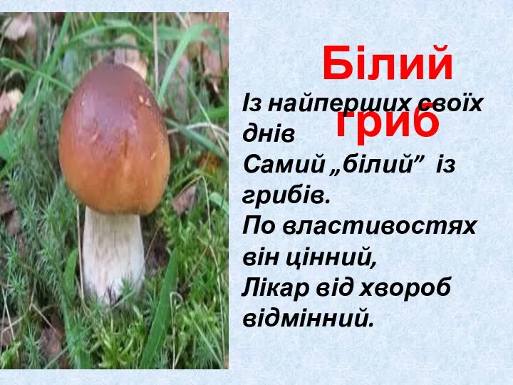 Білий гриб Із найперших своїх днів Самий „білий” із грибів. По властивостях він