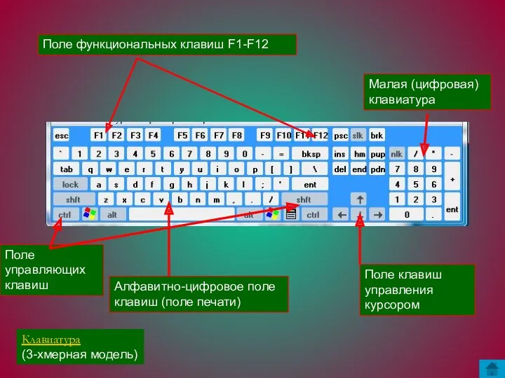 Поле функциональных клавиш F1-F12 Алфавитно-цифровое поле клавиш (поле печати) Малая