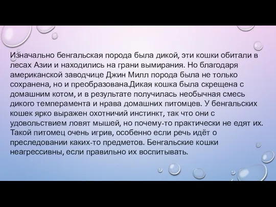 Изначально бенгальская порода была дикой, эти кошки обитали в лесах