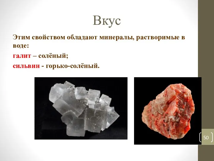 Вкус Этим свойством обладают минералы, растворимые в воде: галит – солёный; сильвин - горько-солёный.