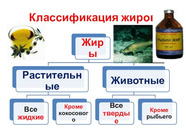 Классификация жиров