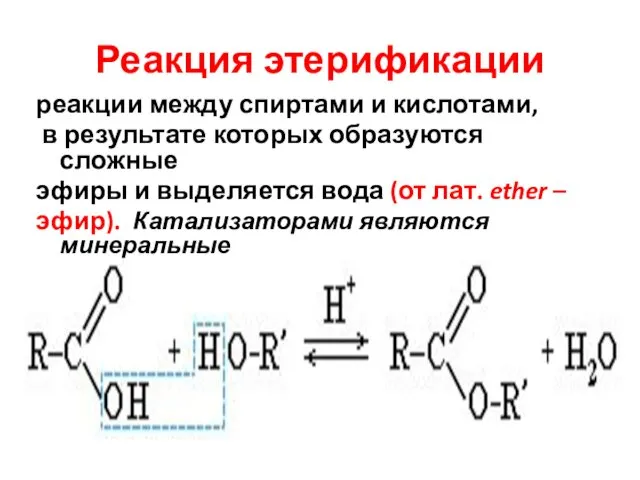 Реакция этерификации реакции между спиртами и кислотами, в результате которых