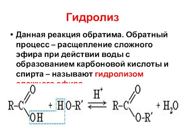 Гидролиз Данная реакция обратима. Обратный процесс – расщепление сложного эфира