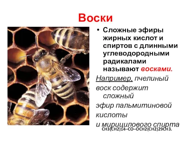 Воски Сложные эфиры жирных кислот и спиртов с длинными углеводородными