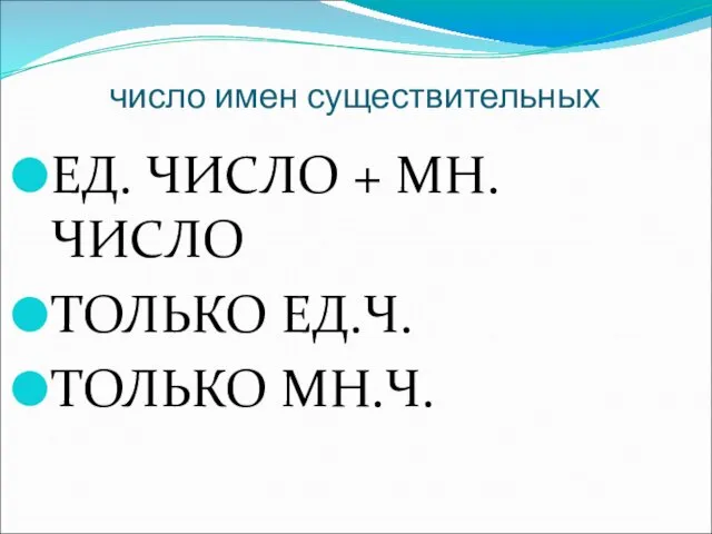 число имен существительных ЕД. ЧИСЛО + МН. ЧИСЛО ТОЛЬКО ЕД.Ч. ТОЛЬКО МН.Ч.