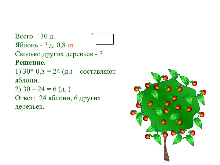 Всего – 30 д. Яблонь - ? д. 0,8 от