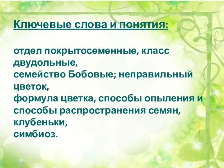 Ключевые слова и понятия: отдел покрытосеменные, класс двудольные, семейство Бобовые;