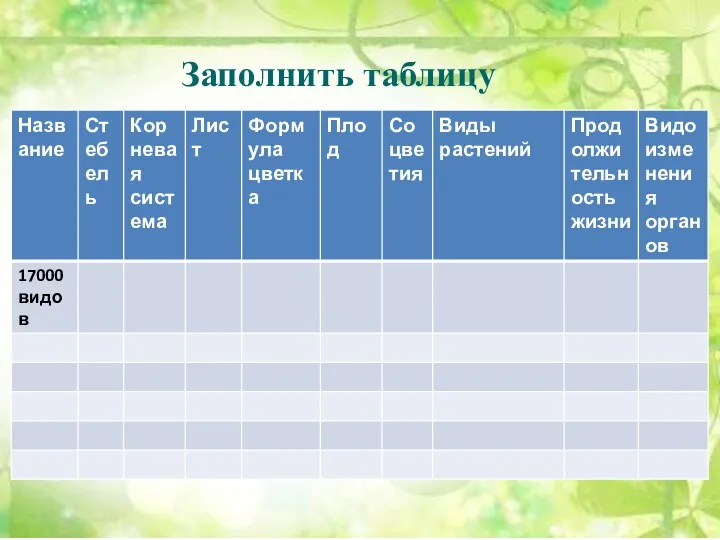 Заполнить таблицу