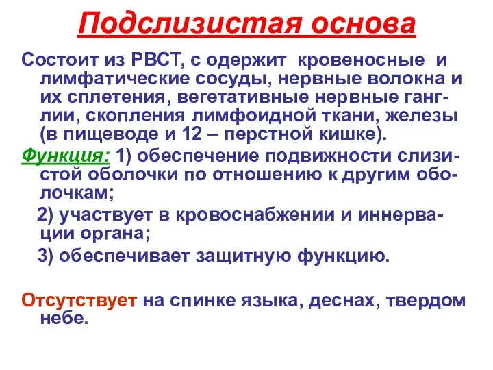 Подслизистая основа Состоит из РВСТ, с одержит кровеносные и лимфатические