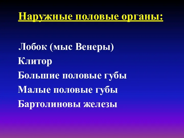 Наружные половые органы: Лобок (мыс Венеры) Клитор Большие половые губы Малые половые губы Бартолиновы железы