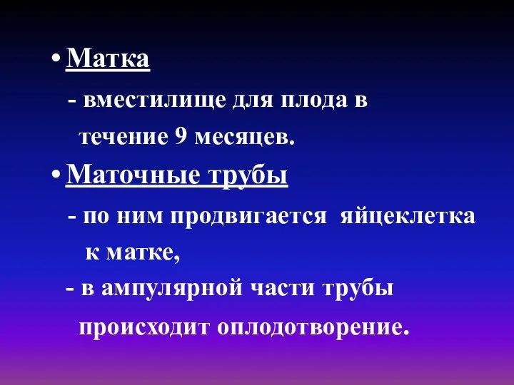 Матка - вместилище для плода в течение 9 месяцев. Маточные